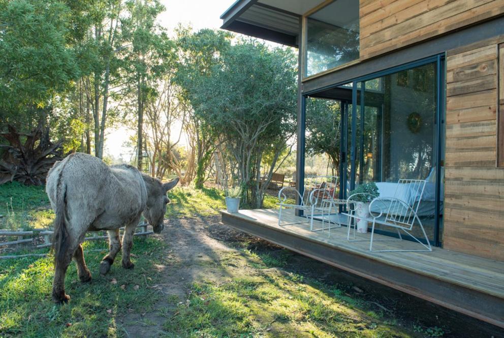 Eco Lodge Villa Villekula The Crags Luaran gambar